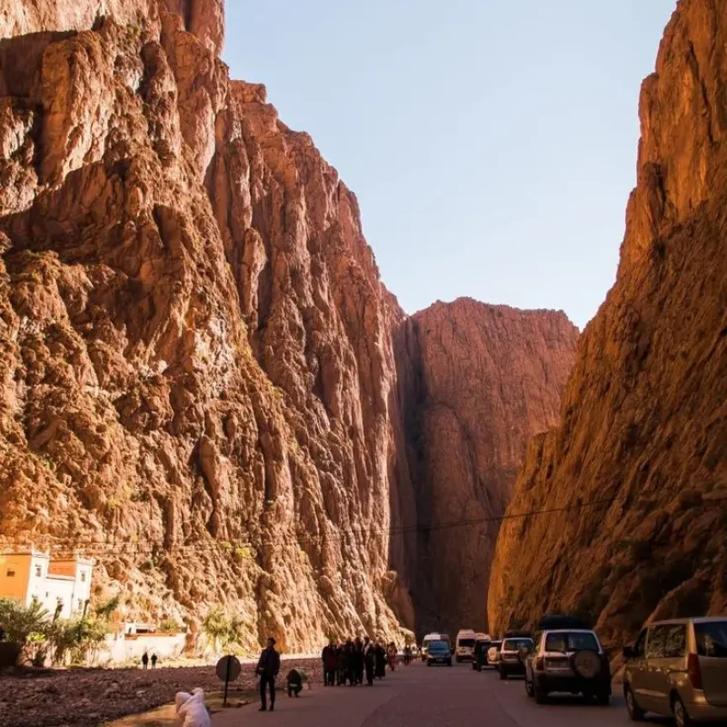 5916c685-bb69-4ee4-92ac-874687c846c7